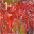 Himmelblau - Galerie 2 - Bild 4 Thumbnail
