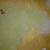 Himmelblau - Galerie 5 - Bild 2 Thumbnail