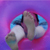 Himmelblau - Galerie 4 - Bild 2 Thumbnail